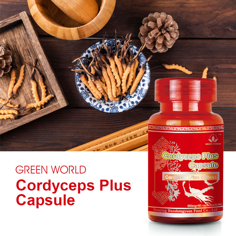 Cordyceps Plus Capsule - Image 2