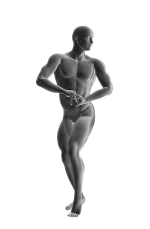 Male Health Ejaculation Support